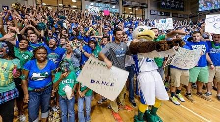 Video thumbnail: WGCU Presents The Dunk City Effect