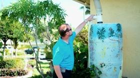 Video thumbnail: WGCU Presents Green Minute: Water World
