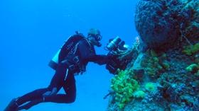 Video thumbnail: WGCU Presents Paradise Reef