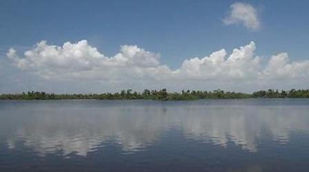 Video thumbnail: WGCU Presents Promises Kept: The J.N. "Ding" Darling National Wildlife...