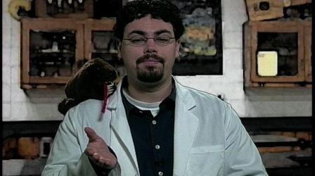 Video thumbnail: Chemistry & Physics Chemistry 803: Limiting Reactants