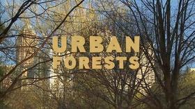 Video thumbnail: Georgia Outdoors Urban Forests