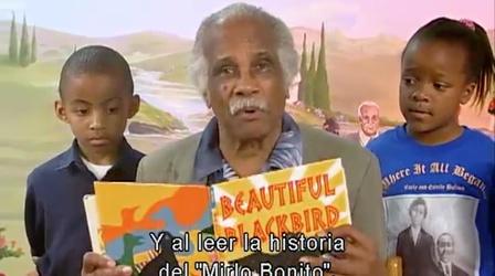 Video thumbnail: Georgia Read More Beautiful Blackbird (Espanol subs)