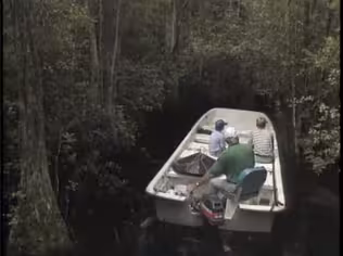 Okefenokee Swamp