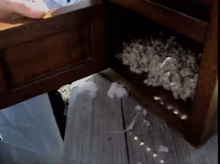 King Cotton and the Cotton Gin