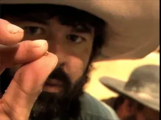 America's First Gold Rush