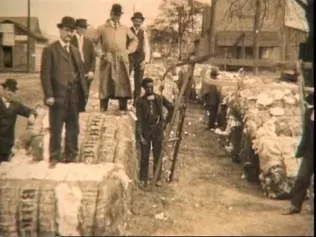 The Economics of War