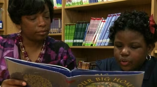 Starla: Seek Out Information