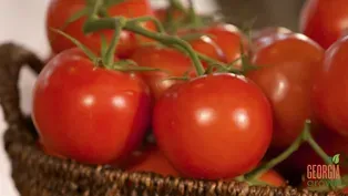 Pick, Cook, Keep: Tomatoes