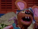 The Armadillo's Hamburgers