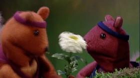 Video thumbnail: Salsa The Pig Who Cried Bandit