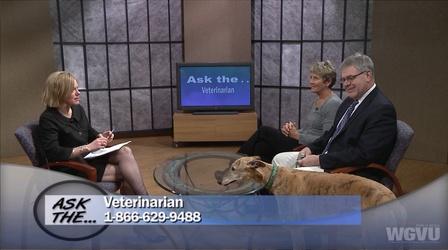 Video thumbnail: Ask The... #1102  Ask The Veterinarian