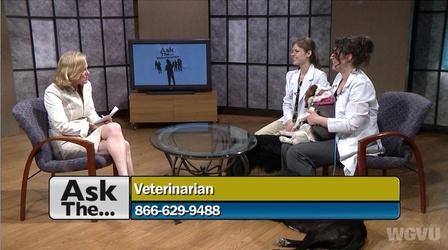 Video thumbnail: Ask The... #1111 Ask The Veterinarian