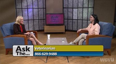 Video thumbnail: Ask The... #1119 Ask The Veterinarian Expert