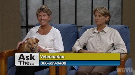 Video thumbnail: Ask The... #1128 Ask The Veterinarians