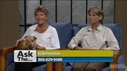 #1128 Ask The Veterinarians