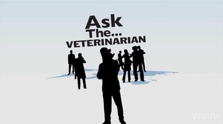 Video thumbnail: Ask The... Ask The Veterinarian #1136