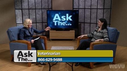Video thumbnail: Ask The... Ask The Veterinarian #1139