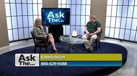 Video thumbnail: Ask The... Ask the Zoo Veterinarian #1311
