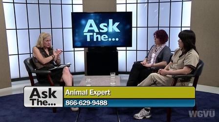 Video thumbnail: Ask The... Ask the Animal Expert #1319