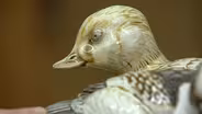Catherine Stasevich Studio