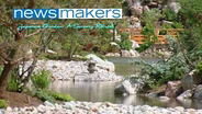 Japanese Garden: A Sensory Retreat #1613