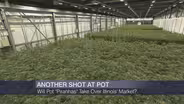 Will Pot ‘Piranhas’ Take Over Illinois’ Market?