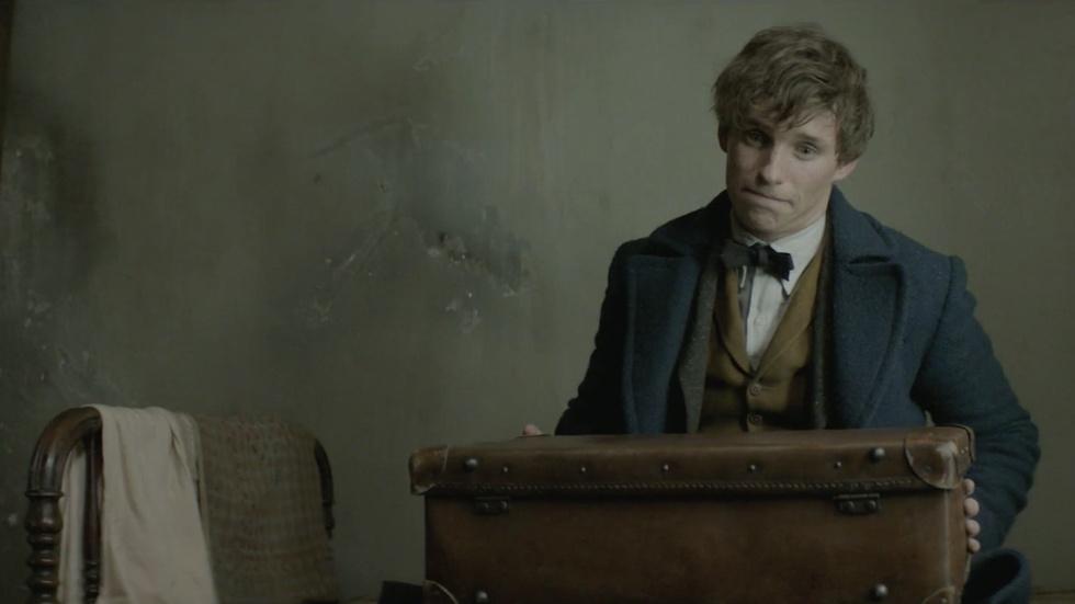 The Stars of "Fantastic Beasts and Where to Find Them" image