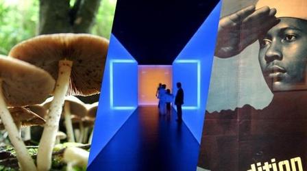 Video thumbnail: Friday Arts Friday Arts for December 2013