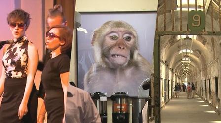 Video thumbnail: Friday Arts The Bearded Ladies, The West Collection, Prison Food