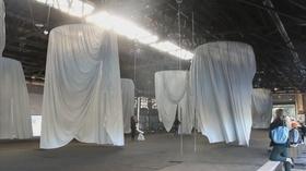 Video thumbnail: Friday Arts Ann Hamilton: habitus