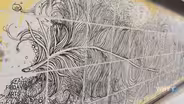 Paul Santoleri: Visual Artistry