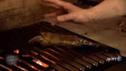 Kanella: Grilled Bronzino