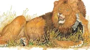 Jerry Pinkney