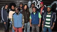 The Wailers