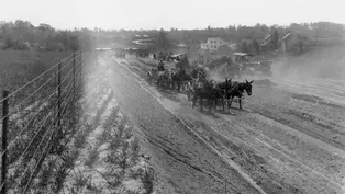 Hundred Mile Monument