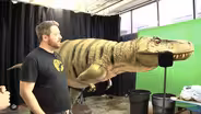 OUTNABOUT: This Old Dinosaur