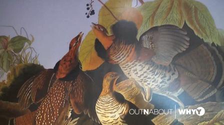 Video thumbnail: WHYY Specials OUTNABOUT: John James Audubon Center at Mill Grove