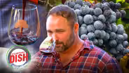 Explore Ancient and Modern Winemaking Techniques with BARREL OAK WINERY