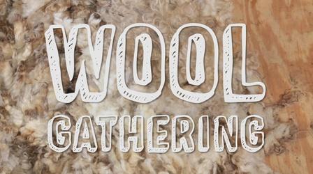 Video thumbnail: Backyard Industry Wool Gathering