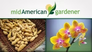 Mid-American Gardener with Dianne Noland - February 5, 2015