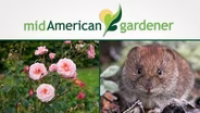 Mid-American Gardener with Dianne Noland - February 12, 2015