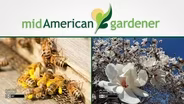Mid American Gardener with Jennifer Nelson - March 26th,2015