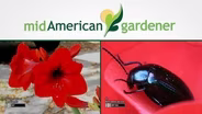 Mid-American Gardener with Dianne Noland - April 16, 2015