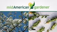 Mid-American Gardener with Dianne Noland - April 23, 2015