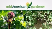Mid-American Gardener With Dianne Noland - May 7th, 2015