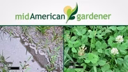 Mid-American Gardener With Dianne Noland - June 18th, 2015