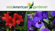 Mid-American Gardener With Dianne Noland - June 25th, 2015