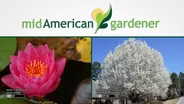 Mid-American Gardener With Dianne Noland - July 16th, 2015