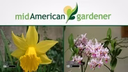 Mid-American Gardener With Dianne Noland - July 23rd, 2015